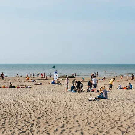 In Near Dunes, Cleaning Included Vakantiehuis