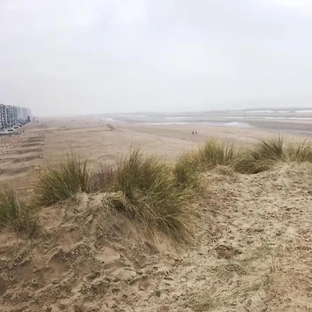 Vakantiehuis In Near Dunes, Cleaning Included