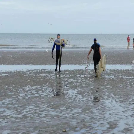 In Near Dunes, Cleaning Included Oostduinkerke